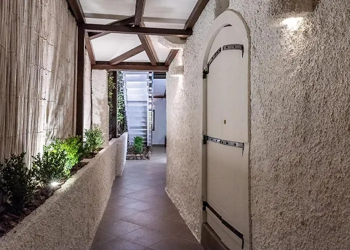 Vecchio Saracino - Carola 1801